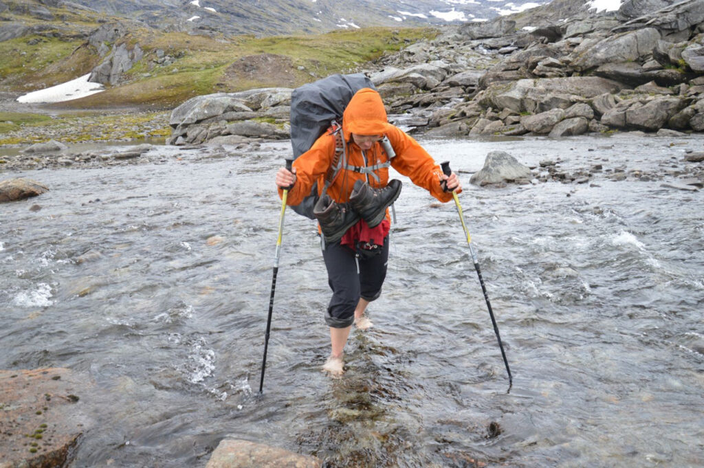 hiker using trekking poles.