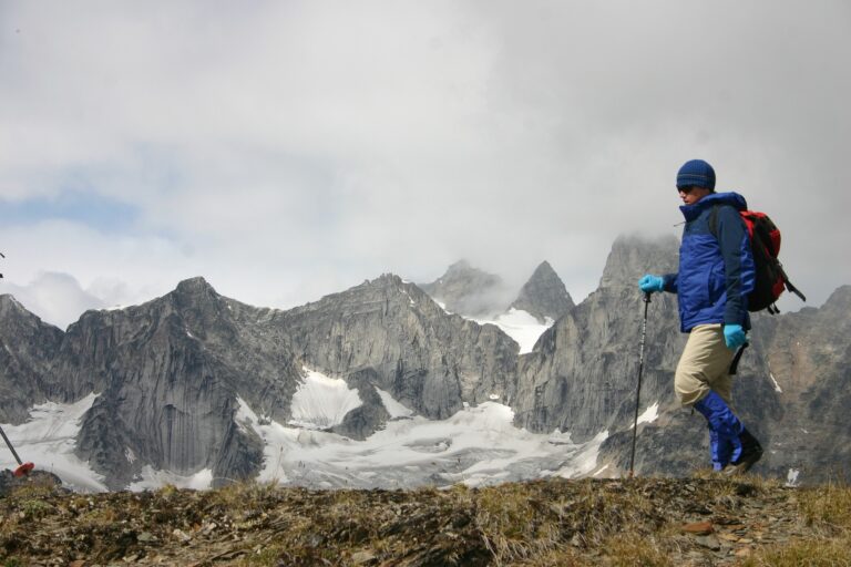 trekking poles, hiking poles